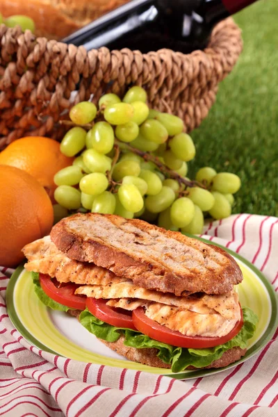 Griddle chicken salad sandwich with picnic basket — Stock Photo, Image