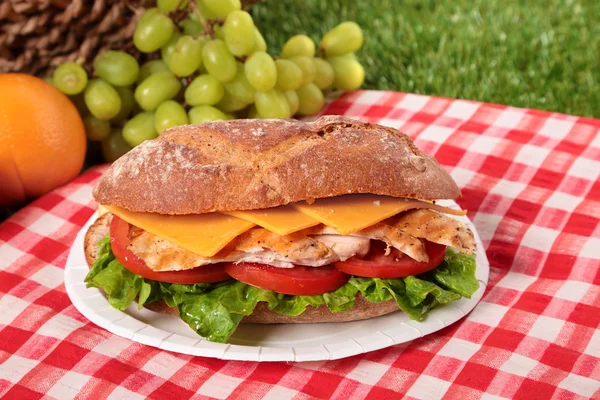 Picnic basket chicken salad baguette sandwich — Stock Photo, Image