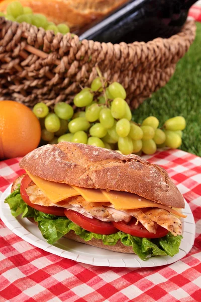 Chicken salad baguette sandwich with picnic basket — Stock Photo, Image