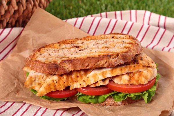 Picnic basket griddle chicken salad sandwich — Stock Photo, Image