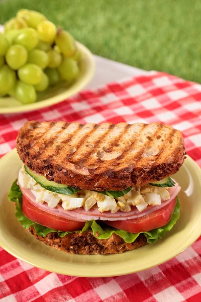 Ham and egg picnic sandwich on summer outdoor table — Stock Photo, Image