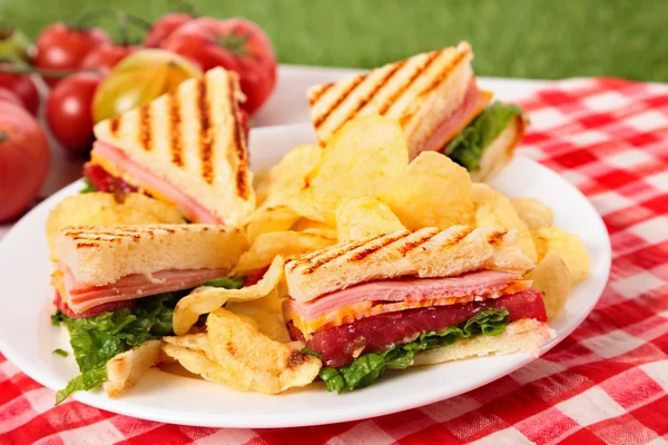 Summer picnic club sandwich ham and cheese, potato crisps — Stock Photo, Image