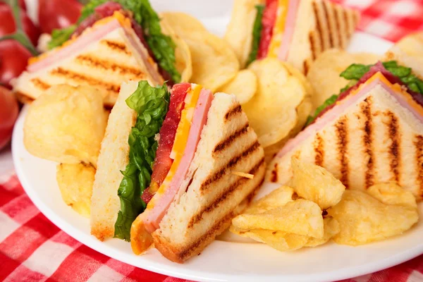 Summer picnic club sandwich ham and cheese, potato crisps — Stock Photo, Image