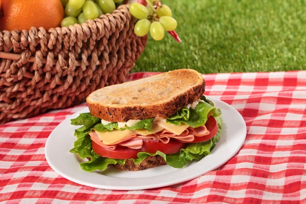 Nyári piknik kosár pirított sonkás-sajtos szendvics — Stock Fotó