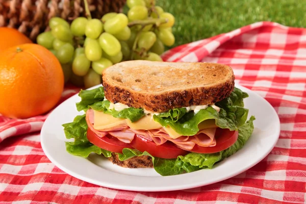 Nyári piknik kosár pirított sonkás-sajtos szendvics — Stock Fotó