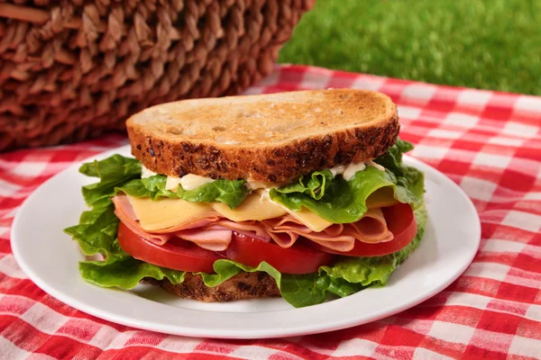 Nyári piknik pirított sonka és sajt szendvicset, közelről — Stock Fotó