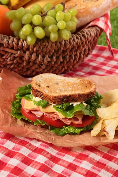 Summer picnic basket toasted ham and cheese sandwich — Stock Photo, Image