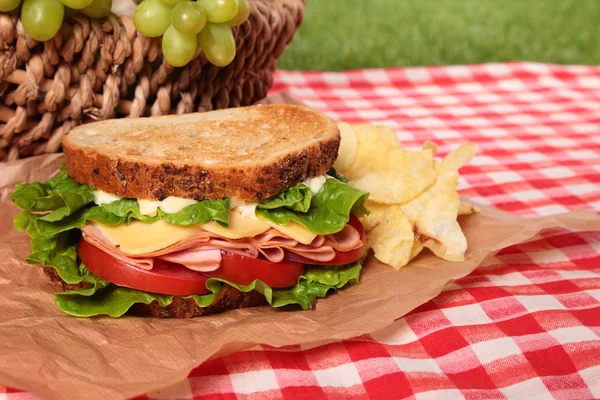 Piknik kosár pirított sonka és sajt szendvicset, közelről — Stock Fotó