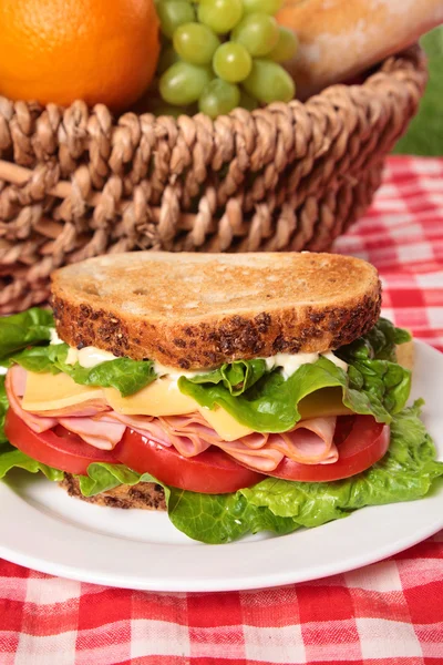 Picnic basket toasted ham and cheese sandwich, close up — Stock Photo, Image