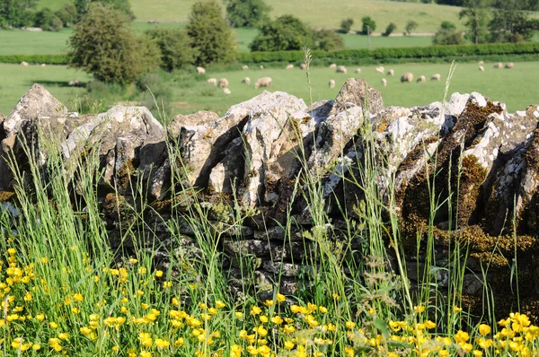코츠월드의 영국 시골에 벽 돌 — 스톡 사진