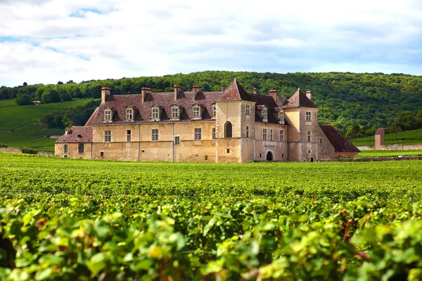 Tipikus francia szőlő és chateau — Stock Fotó