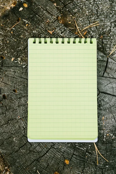 Caderno deitado em um toco de madeira na floresta — Fotografia de Stock