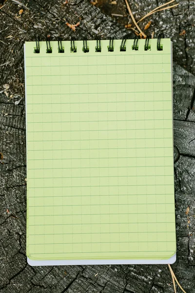 Caderno deitado em um toco de madeira na floresta — Fotografia de Stock