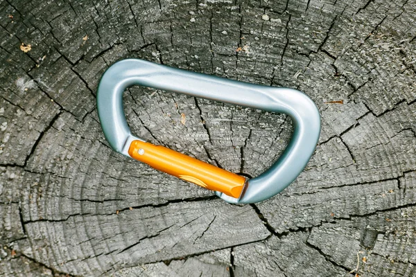 Karabiner auf Holzstumpf im Wald liegend — Stockfoto