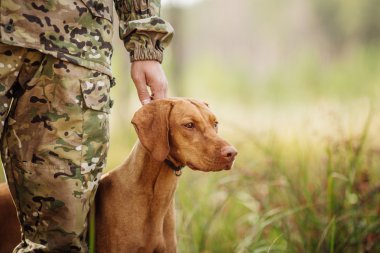 avcı ormanda bir köpekle