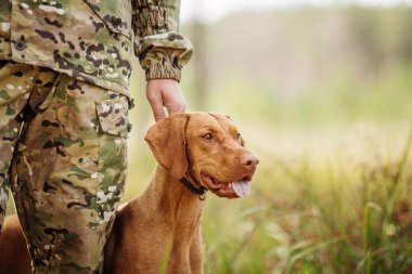 avcı ormanda bir köpekle