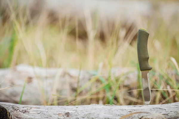 Hunting knife stuck in tree in forest — Stock Photo, Image