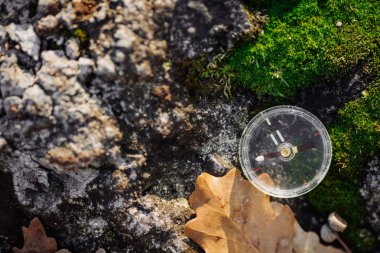 moss arka plan ile kayaya pusula