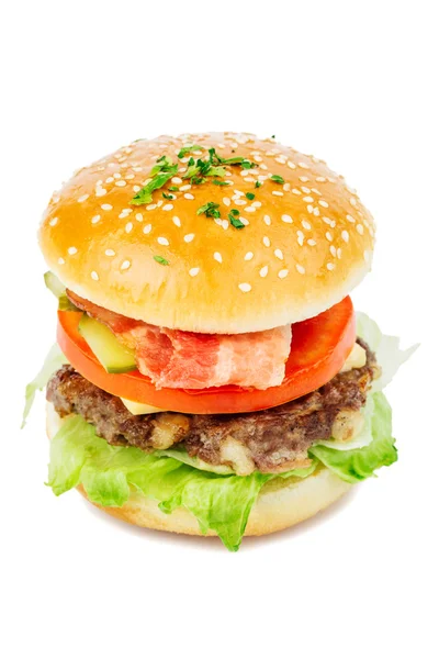 Hamburger isoliert auf weißem Hintergrund — Stockfoto