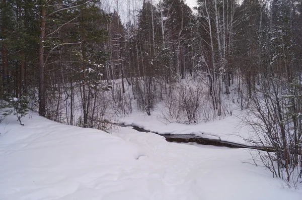 Stream in het winter forest — Stockfoto