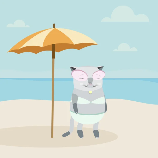 Gatto sulla spiaggia — Vettoriale Stock