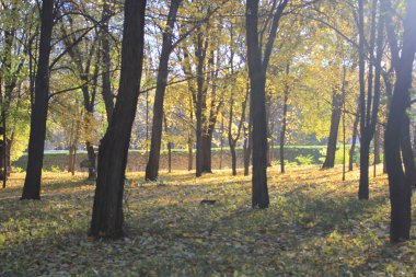 Dnepropetrovsk sonbahar