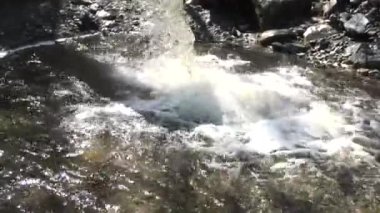 Temiz su dökülüyor, kaynak suyu doğası temiz hava, orman, çimen, mavi gökyüzü