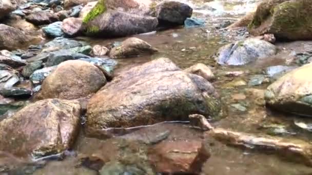 Fiume acqua limpida e pietre, acqua di lettura versando, acqua di sorgente natura aria fresca, foresta, erba, cielo blu — Video Stock