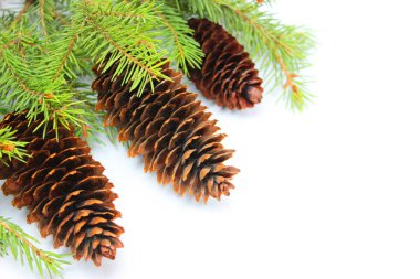 Beyaz arka planda noel ağacı, ağaç ve koniler, oyuncaklar, toplar