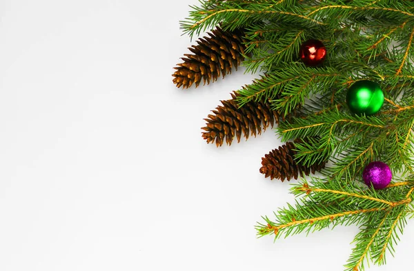 Albero di Natale su sfondo bianco, albero e coni, giocattoli, palle — Foto Stock