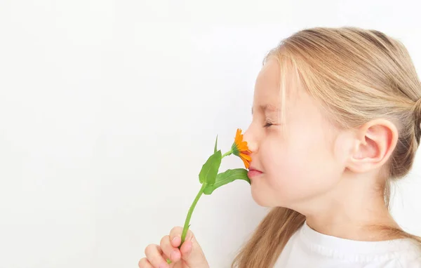 The girl is happy, the girl holds an orange flower in her hands, the girl sniffs its aroma and gives it — Stock Photo, Image