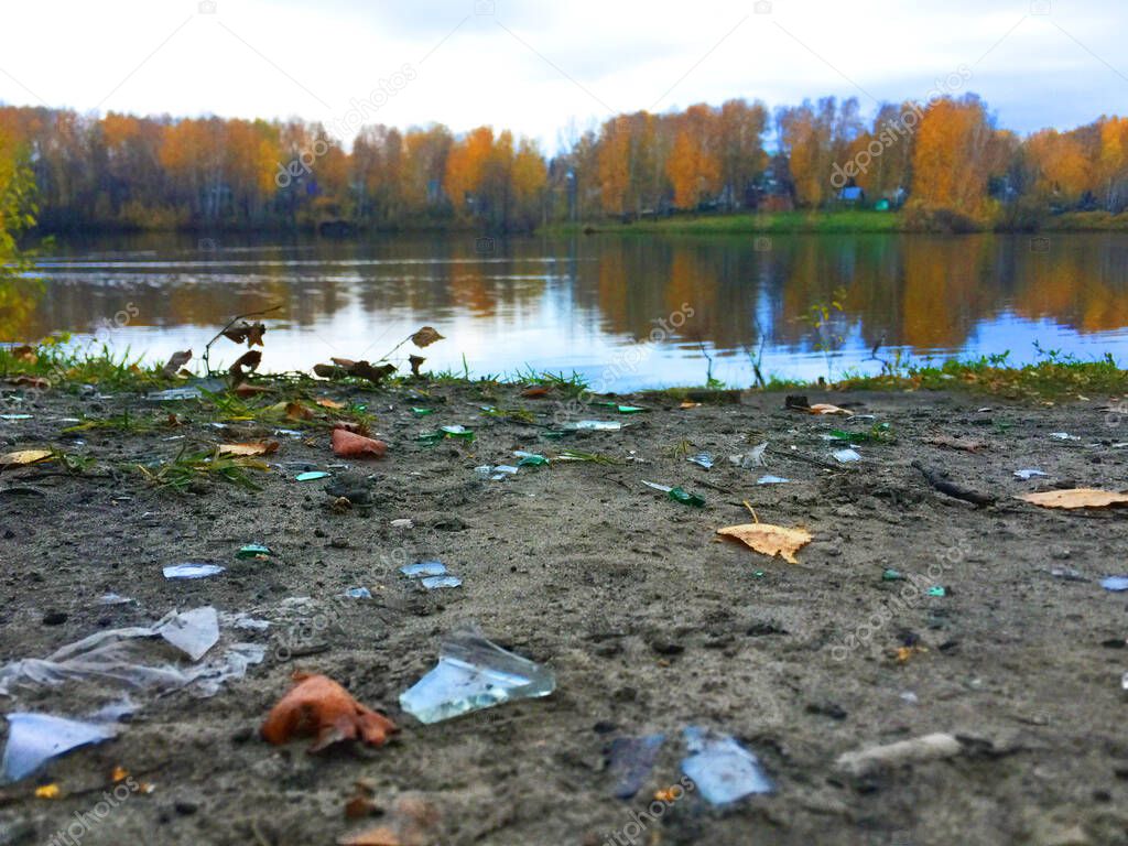 plastic and glass in the forest, garbage in nature, ecology in danger, glass bottles and plastic in the lake, plastic and glass in the forest, garbage in nature, ecology in danger,