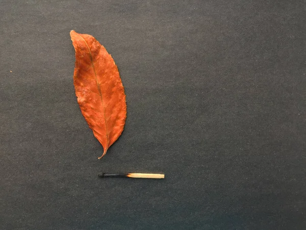 Zapałka, która podpala las, zapałkę i jesienny liść. Płonąca zapałka może spowodować pożar w lesie.. — Zdjęcie stockowe