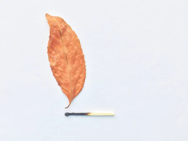 A match that sets fire to a forest, a match, and an autumn leaf. a burning match can cause a fire in the forest. — Stock Image A match that sets fire to a forest, a match, and an autumn leaf. a burning match can cause a fire in the forest. Stock Photo