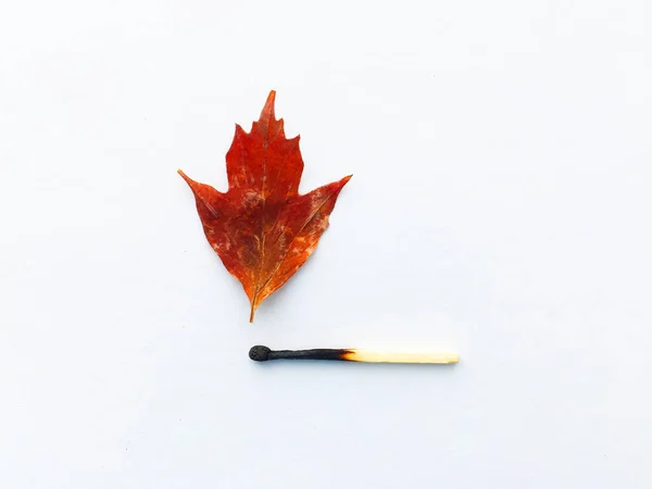 A match that sets fire to a forest, a match, and an autumn leaf. a burning match can cause a fire in the forest. — Stock Image A match that sets fire to a forest, a match, and an autumn leaf. a burning match can cause a fire in the forest. Stock Photo