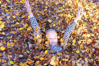 Sonbahar yapraklarıyla oynayan kız. Parka yapraklar saçar ve güler.