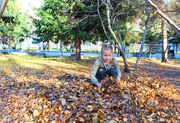 Κορίτσι που παίζει με φθινοπωρινά φύλλα. σκορπίζει φύλλα στο πάρκο και γελάει — Φωτογραφία Αρχείου