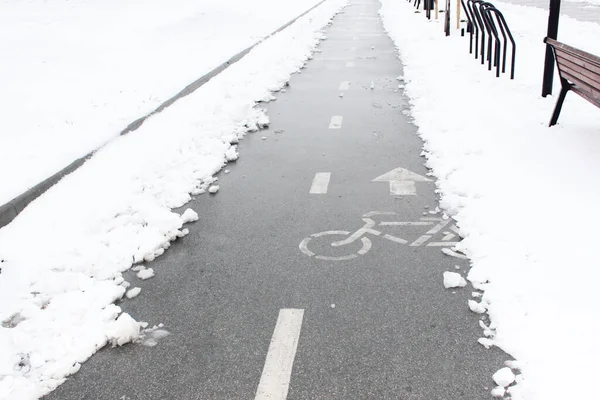 Pista ciclabile nella neve. andare in bicicletta in inverno. piccole lastre di pavimentazione coperte di neve, situate all'esterno, strada dopo le nevicate, marciapiede sotto la neve. Prima neve. Bell'inverno — Foto Stock