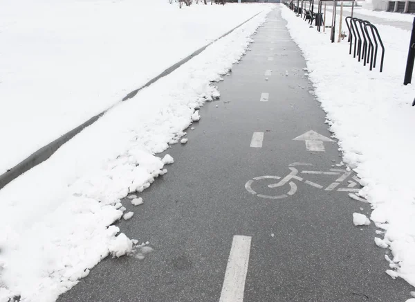 Pista ciclabile nella neve. andare in bicicletta in inverno. piccole lastre di pavimentazione coperte di neve, situate all'esterno, strada dopo le nevicate, marciapiede sotto la neve. Prima neve. Bell'inverno — Foto Stock