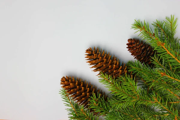 Árbol de navidad sobre un fondo blanco, árbol y conos, juguetes, bolas —  Fotos de Stock