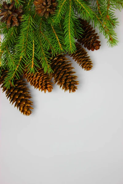 Albero di Natale su sfondo bianco, albero e coni, giocattoli, palle — Foto Stock