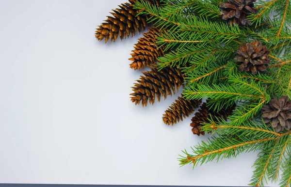 Árbol de navidad sobre un fondo blanco, árbol y conos, juguetes, bolas —  Fotos de Stock