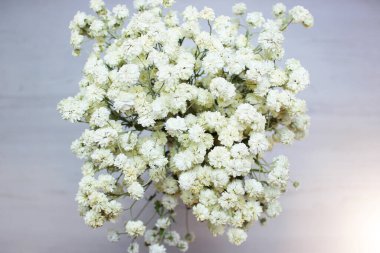 Ahşap bir masada altın bir vazoda kurutulmuş beyaz çiçekler. Klasik kuru çiçekler. Kurumuş oturma odasının dekorasyonudur. Beyaz çimen arka planının bulanık görüntüsü. Modern bir düzen.