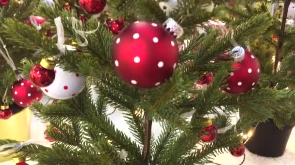 Arbre de Noël décoré. Ornements rouges, argentés et verts sur bois. Décorations d'arbres de Noël Beaucoup de grandes boules d'or et de bleu, rouges. Arbre de Noël. Nouvel An intérieur. Arbre de Noël, joyeuses fêtes — Video