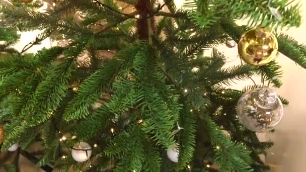 Geschmückter Weihnachtsbaum. Rote, silberne und grüne Ornamente auf Holz. Christbaumschmuck Viele große goldene und blaue, rote Kugeln. Weihnachtsbaum. Silvester. Weihnachtsbaum, frohe Feiertage — Stockvideo