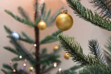 Madalyalı Noel ağacı. Ahşap üzerine kırmızı, gümüş ve yeşil süsler. Noel süslemeleri. Bir sürü büyük altın ve mavi, kırmızı toplar. Noel ağacı. Yeni yıl arifesi. Noel ağacı, mutlu tatiller.