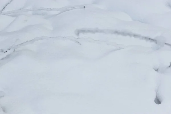 美丽的雪地冬季森林，树木被霜冻覆盖，积雪密布。大自然冬季的背景，有白雪覆盖的枝条。白色的霜冻在树上，白色的漂泊路上，冬季森林里的小径 — 图库照片