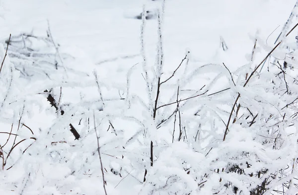 Прекрасний сніговий зимовий ліс з деревами, покритими морозами і снігом крупним планом. Природа зимового фону з засніженими гілками. білі морози на деревах, білі дрейфи Дорога, стежка в зимовому лісі — стокове фото