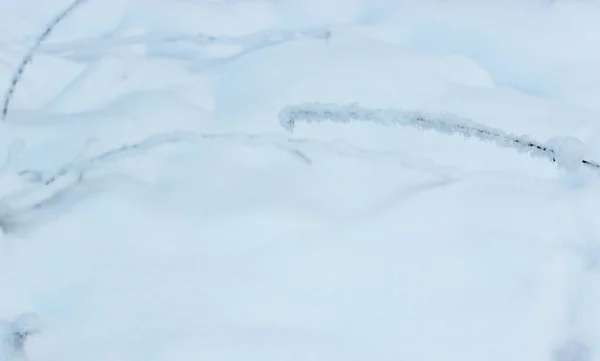 Bela floresta de inverno nevado com árvores cobertas de geada e neve perto. Natureza fundo de inverno com ramos cobertos de neve. geada branca em árvores, derivas brancas Estrada, trilha na floresta de inverno — Fotografia de Stock