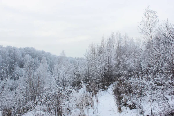 Piękny śnieżny las zimowy z drzewami pokrytymi mrozem i śniegiem. Zimowe tło natury z pokrytymi śniegiem gałęziami. biały mróz na drzewach, białe dryfy Droga, szlak w lesie zimowym — Zdjęcie stockowe